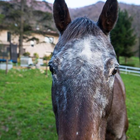 Cascina Canale Sabbio Chiese Zewnętrze zdjęcie