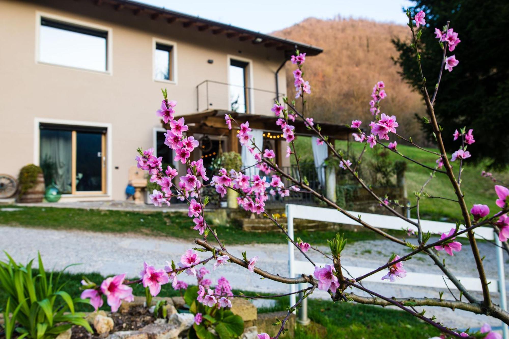 Cascina Canale Sabbio Chiese Zewnętrze zdjęcie