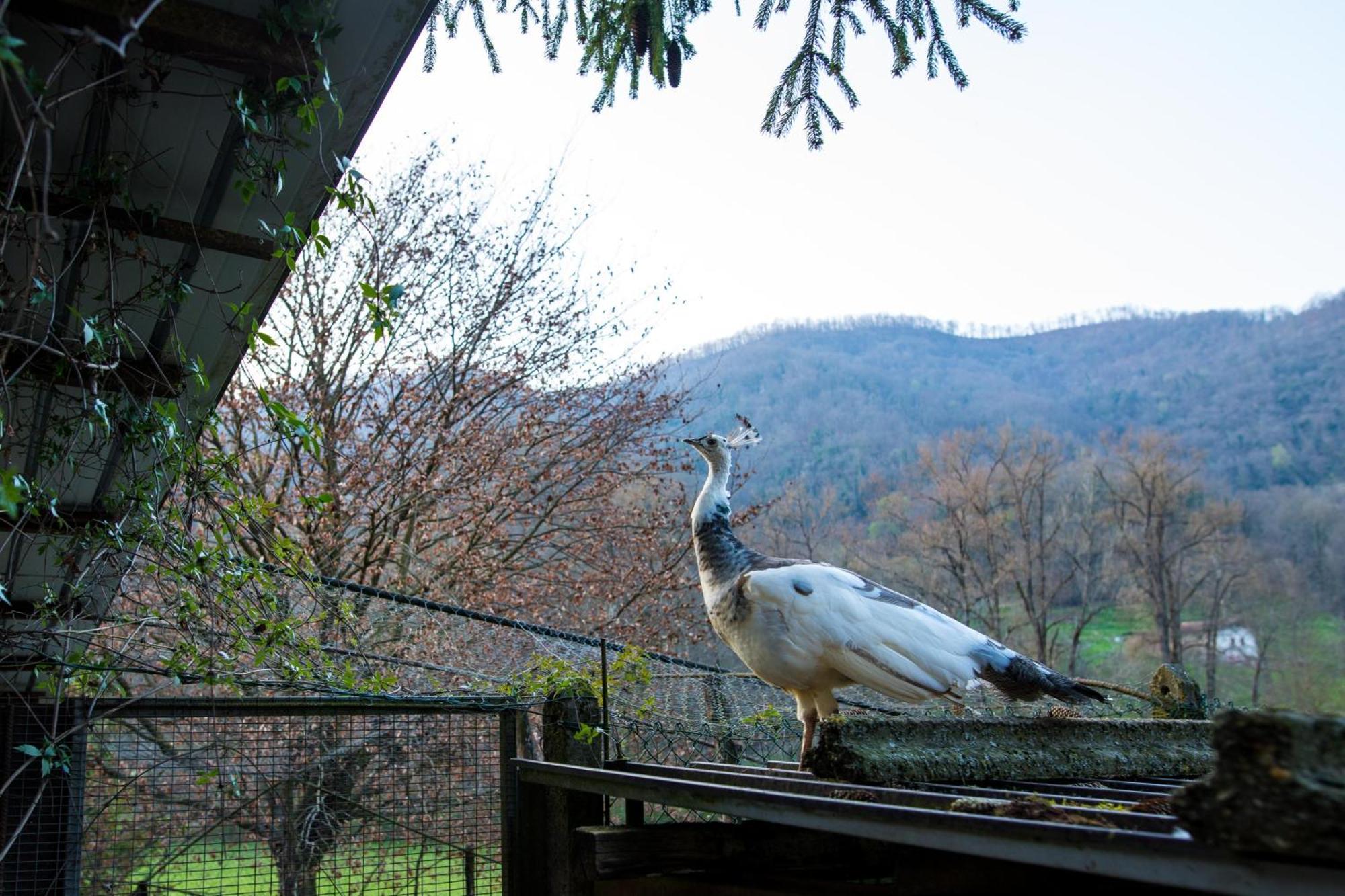 Cascina Canale Sabbio Chiese Zewnętrze zdjęcie